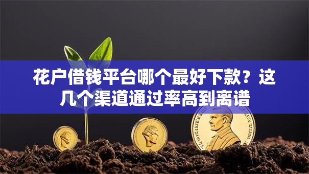花户借钱平台哪个最好下款？这几个渠道通过率高到离谱