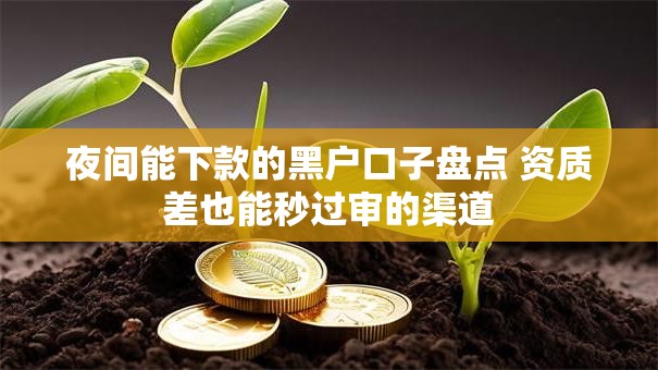夜间能下款的黑户口子盘点 资质差也能秒过审的渠道 夜间能下款的黑户口子盘点 资质差也能秒过审的渠道
