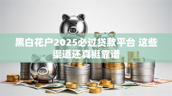 黑白花户2025必过贷款平台 这些渠道还真挺靠谱