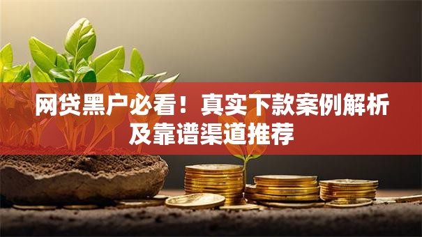 网贷黑户必看！真实下款案例解析及靠谱渠道推荐