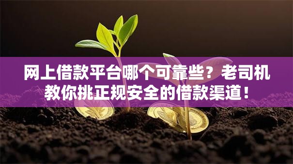 网上借款平台哪个可靠些？老司机教你挑正规安全的借款渠道！