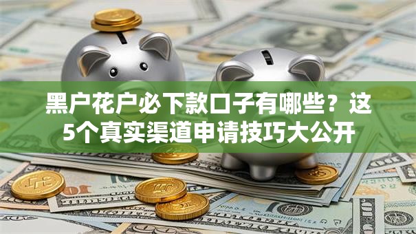 黑户花户必下款口子有哪些？这5个真实渠道申请技巧大公开