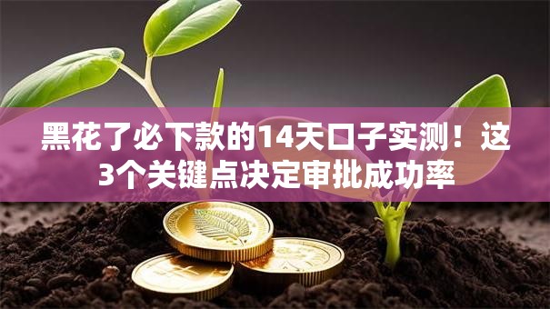 黑花了必下款的14天口子实测！这3个关键点决定审批成功率
