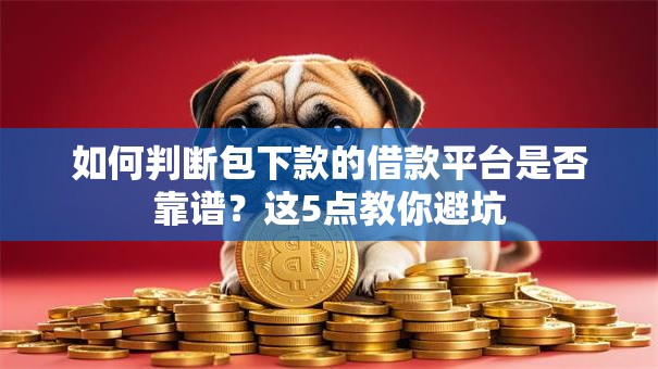 如何判断包下款的借款平台是否靠谱？这5点教你避坑
