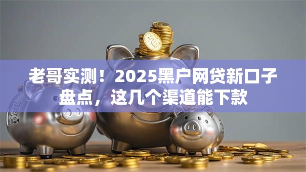 老哥实测！2025黑户网贷新口子盘点，这几个渠道能下款