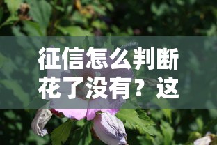 征信怎么判断花了没有?这5个信号出现两个就要警惕! 征信怎么判断花了没有?这5个信号出现两个就要警惕!