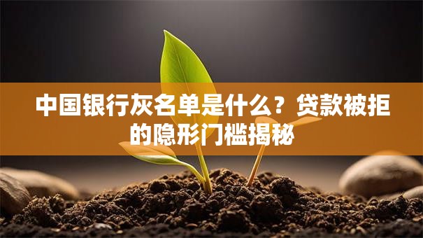 中国银行灰名单是什么?贷款被拒的隐形门槛揭秘 中国银行灰名单是什么?贷款被拒的隐形门槛揭秘