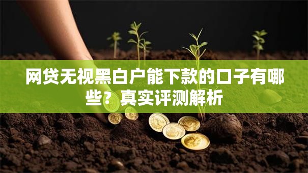 网贷无视黑白户能下款的口子有哪些？真实评测解析