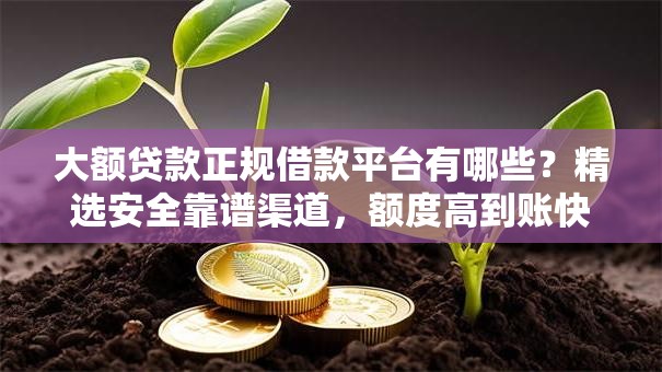 大额贷款正规借款平台有哪些？精选安全靠谱渠道，额度高到账快！