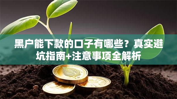 黑户能下款的口子有哪些?真实避坑指南+注意事项全解析 黑户能下款的口子有哪些?真实避坑指南+注意事项全解析