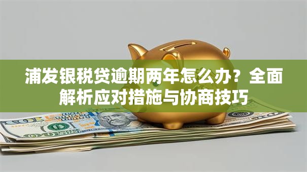 浦发银税贷逾期两年怎么办？全面解析应对措施与协商技巧