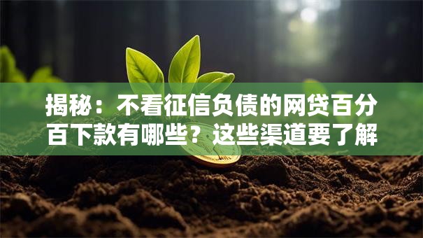 揭秘:不看征信负债的网贷百分百下款有哪些?这些渠道要了解 揭秘:不看征信负债的网贷百分百下款有哪些?这些渠道要了解