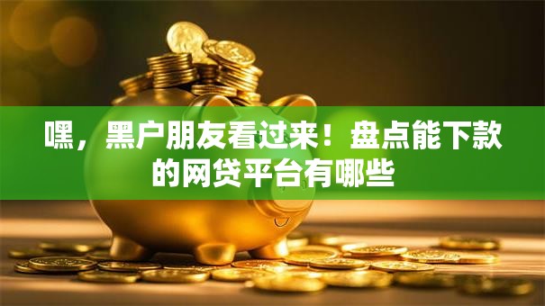 嘿，黑户朋友看过来！盘点能下款的网贷平台有哪些