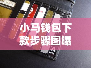 小马钱包下款步骤图曝光！手把手教你申请贷款到账攻略