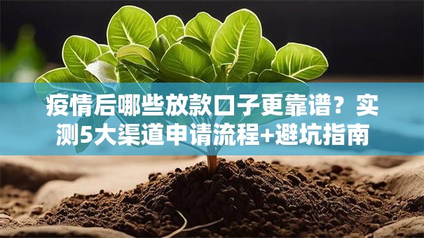 疫情后哪些放款口子更靠谱？实测5大渠道申请流程+避坑指南