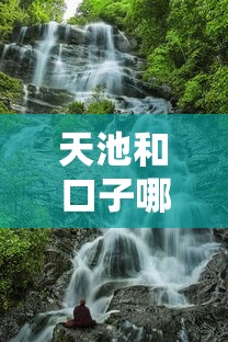 天池和口子哪个靠谱?实测对比教你避坑选对平台 天池和口子哪个靠谱?实测对比教你避坑选对平台