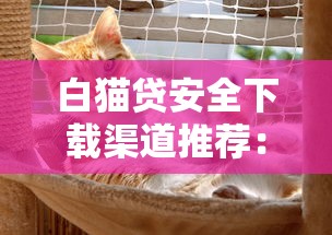白猫贷安全下载渠道推荐：官方平台和靠谱方法全解析