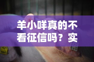 羊小咩真的不看征信吗？实测发现这几个关键点必须了解