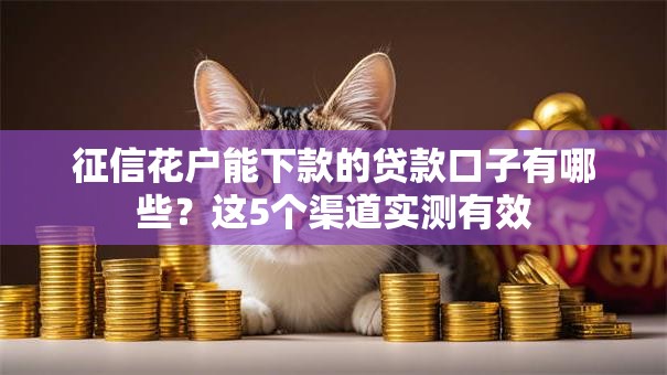 征信花户能下款的贷款口子有哪些？这5个渠道实测有效