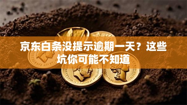 京东白条没提示逾期一天？这些坑你可能不知道