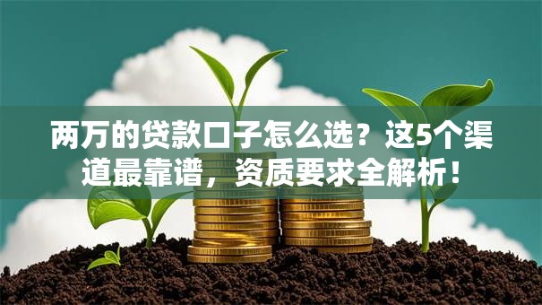 两万的贷款口子怎么选？这5个渠道最靠谱，资质要求全解析！