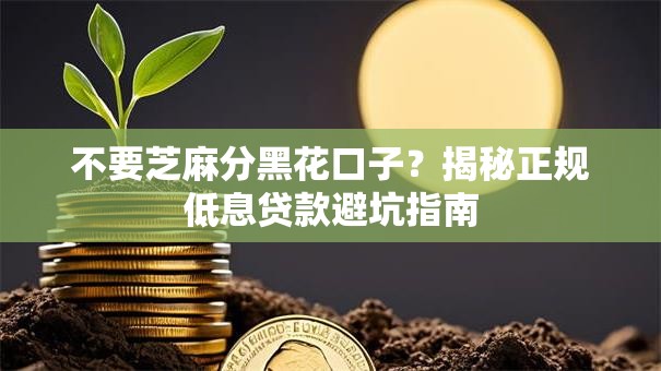 不要芝麻分黑花口子？揭秘正规低息贷款避坑指南