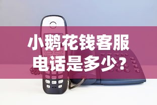 小鹅花钱客服电话是多少?快速查询方法+常见问题解答 小鹅花钱客服电话是多少?快速查询方法+常见问题解答