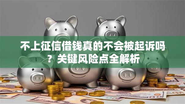 不上征信借钱真的不会被起诉吗？关键风险点全解析