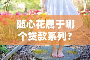 随心花属于哪个贷款系列？揭秘口子类型与使用技巧