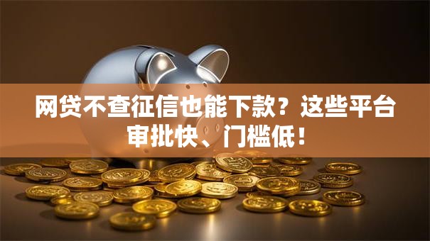 网贷不查征信也能下款？这些平台审批快、门槛低！