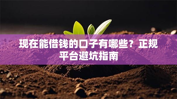 现在能借钱的口子有哪些?正规平台避坑指南 现在能借钱的口子有哪些?正规平台避坑指南