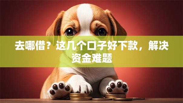 去哪借?这几个口子好下款,解决资金难题 去哪借?这几个口子好下款,解决资金难题