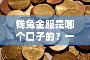 钱兔金服是哪个口子的？一文讲透平台资质与使用攻略