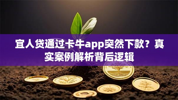 宜人贷通过卡牛app突然下款？真实案例解析背后逻辑