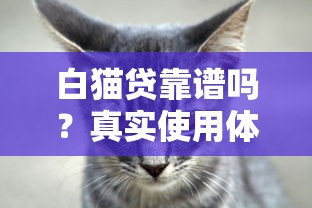 白猫贷靠谱吗？真实使用体验与安全性深度解析
