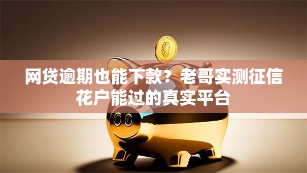 网贷逾期也能下款？老哥实测征信花户能过的真实平台