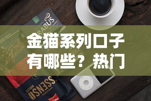 金猫系列口子有哪些？热门贷款产品深度解析