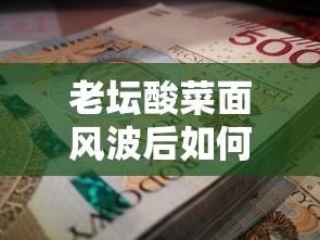 老坛酸菜面风波后如何规划贷款应急资金