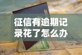 征信有逾期记录花了怎么办？这几招教你顺利申请贷款