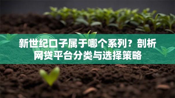 新世纪口子属于哪个系列？剖析网贷平台分类与选择策略