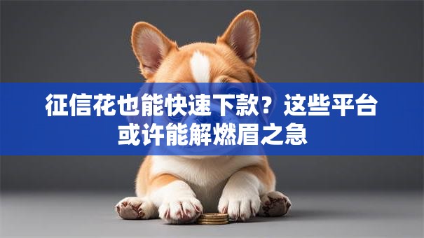 征信花也能快速下款?这些平台或许能解燃眉之急 征信花也能快速下款?这些平台或许能解燃眉之急