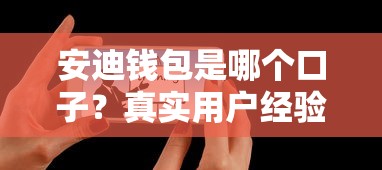 安迪钱包是哪个口子?真实用户经验深度解析 安迪钱包是哪个口子?真实用户经验深度解析