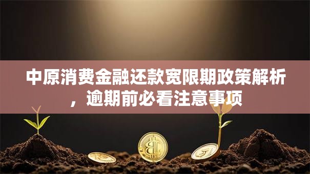 中原消费金融还款宽限期政策解析，逾期前必看注意事项