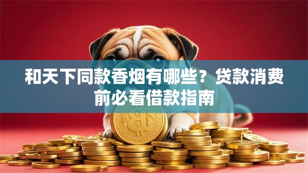 和天下同款香烟有哪些？贷款消费前必看借款指南