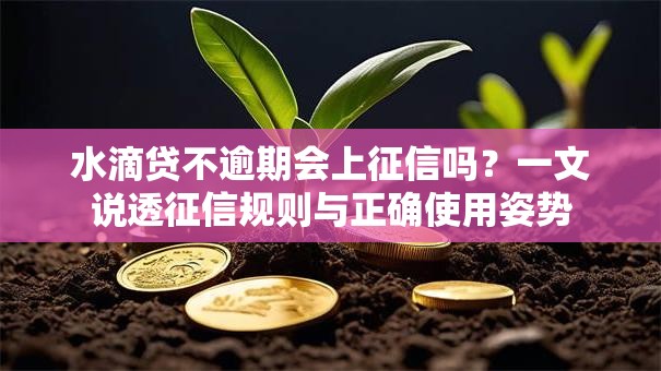 水滴贷不逾期会上征信吗?一文说透征信规则与正确使用姿势 水滴贷不逾期会上征信吗?一文说透征信规则与正确使用姿势