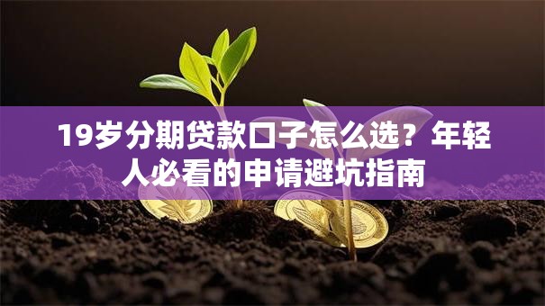 19岁分期贷款口子怎么选？年轻人必看的申请避坑指南