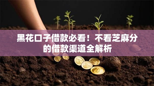 黑花口子借款必看!不看芝麻分的借款渠道全解析 黑花口子借款必看!不看芝麻分的借款渠道全解析