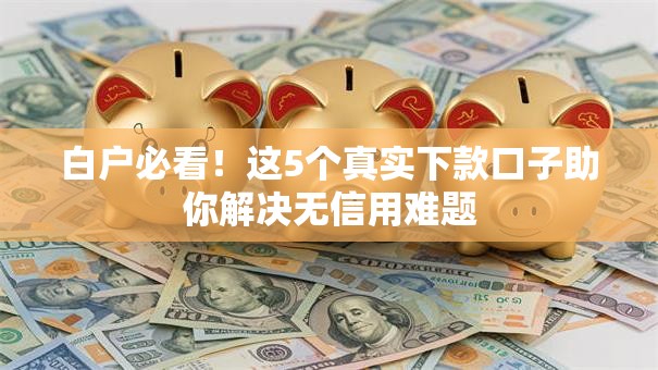 白户必看！这5个真实下款口子助你解决无信用难题