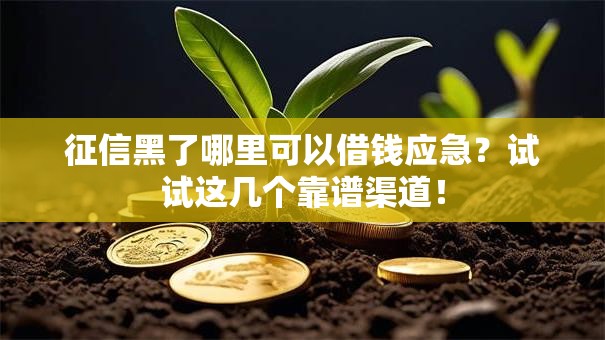 征信黑了哪里可以借钱应急？试试这几个靠谱渠道！