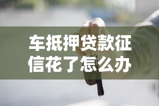 车抵押贷款征信花了怎么办？解决征信问题的实用指南
